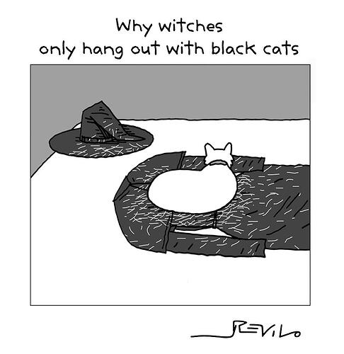 blackcat