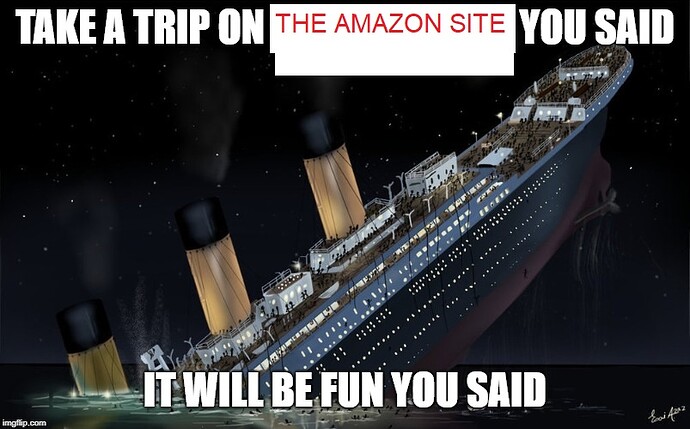 AMAZON SINKING