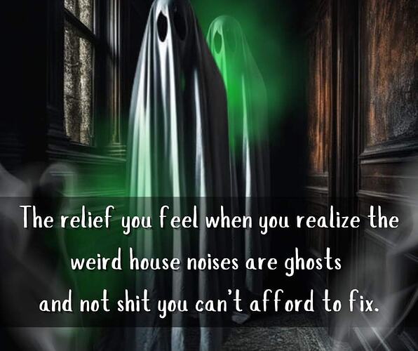 ghosts.in.the.house