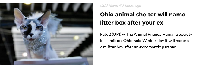 litter box