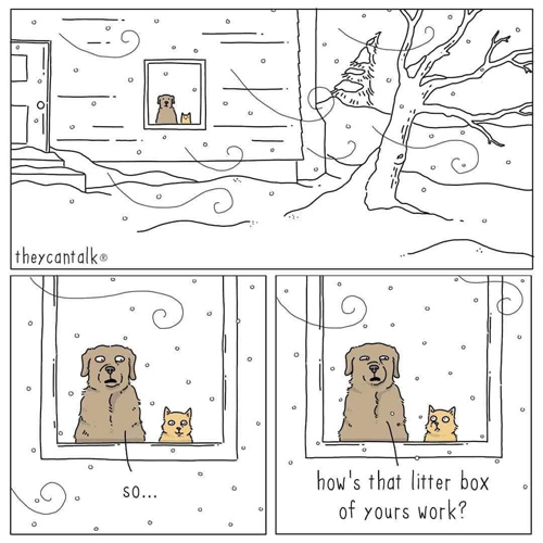 litterbox